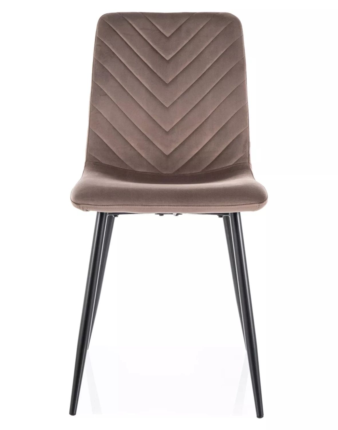 daren velvet cappuccino