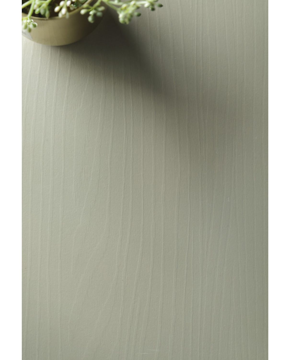 szafka nocna forest (s54), eukaliptus