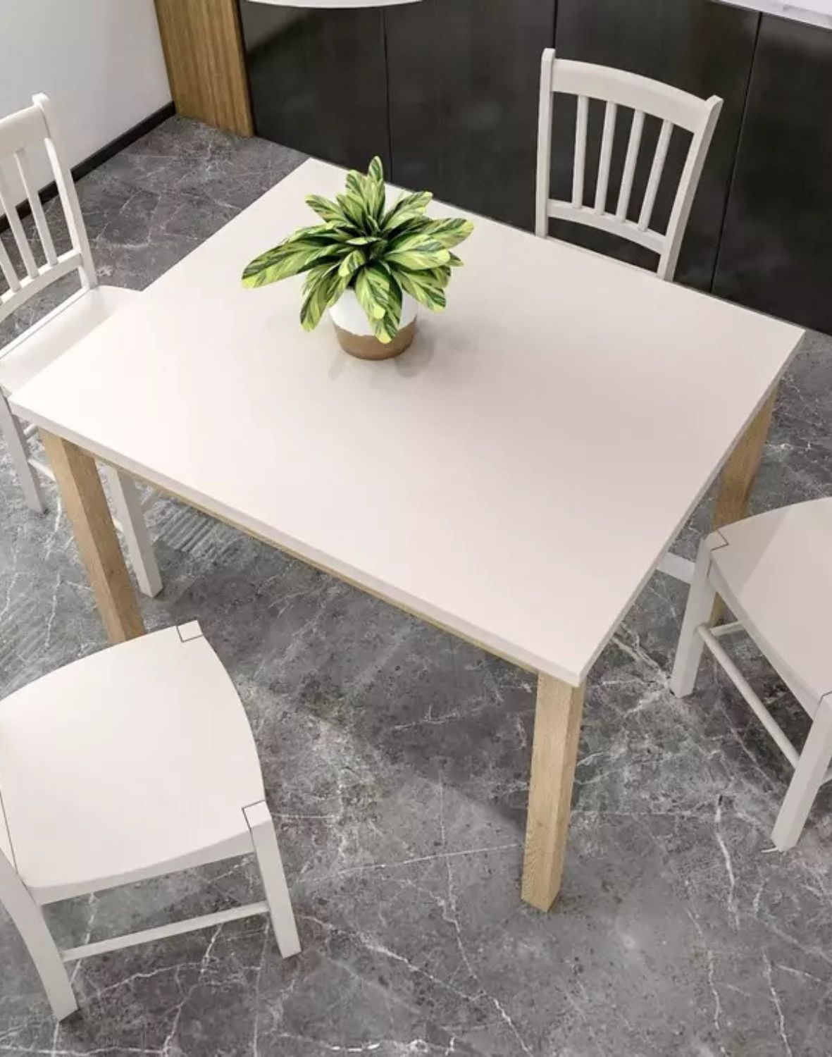 adam 90 65 kaszmir dab cremona