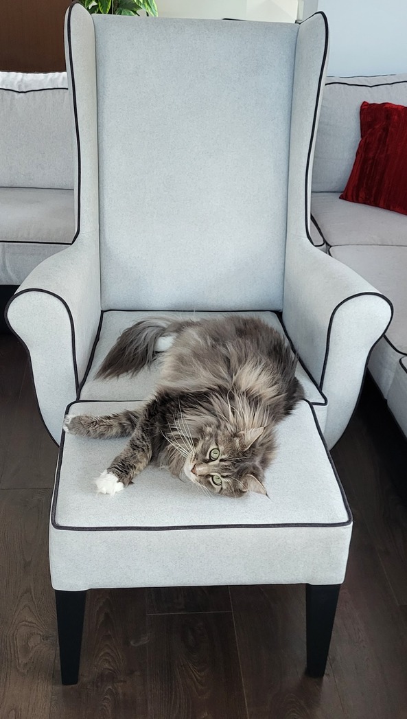 fotel uszak gładki z poduszką (zagłówkiem) i lamówką 1-3 dni